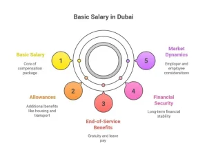 Basic Salary in Dubai