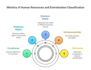 Mohre Classification Levels 