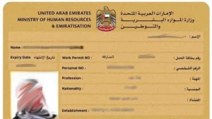 UAE Labor Card