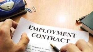 employment contract uae
