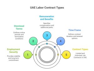 Limited vs. Unlimited Contracts in the UAE