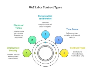 Limited vs. Unlimited Contracts in the UAE